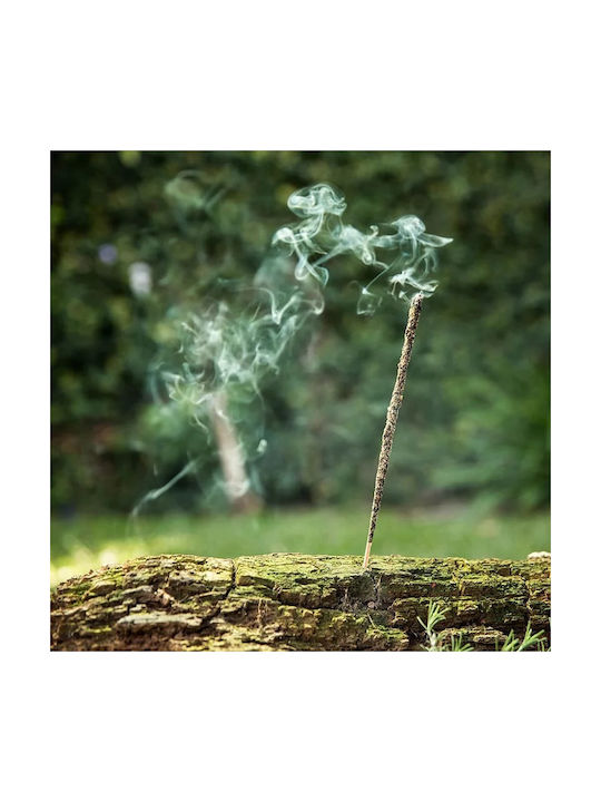 Θυμίαμα Απήγανο Δεντρολίβανο Λιβάνι Sagrada Madre Premium Incense 8τμχ