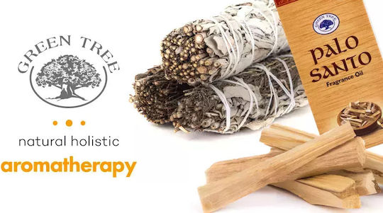Bețișoare parfumate Green Tree Palo Santo 20 buc