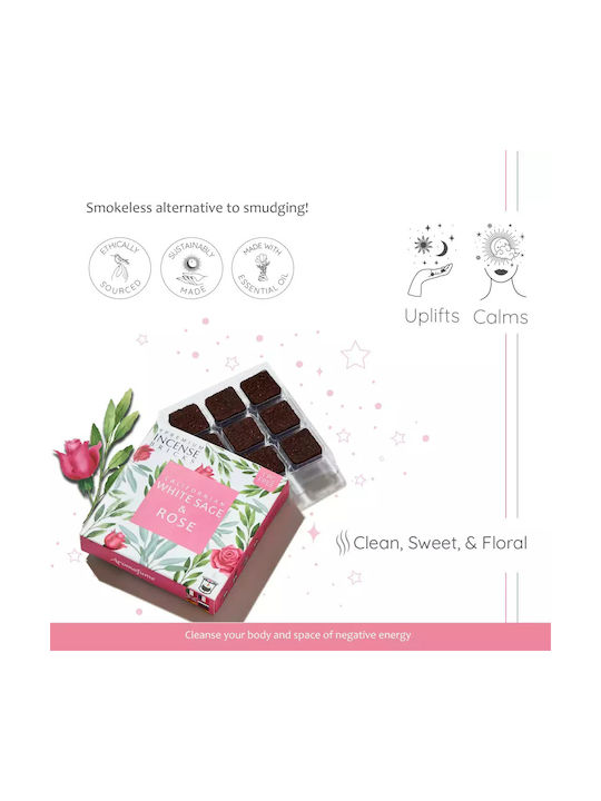 Gift Set Smudge White Sage Καυστήρας Θυμιαμάτων Tree Life + 12 Κύβοι Θυμιάματος