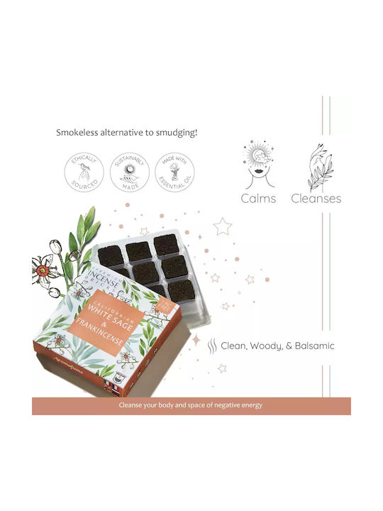 Gift Set Smudge White Sage Καυστήρας Θυμιαμάτων Tree Life + 12 Κύβοι Θυμιάματος
