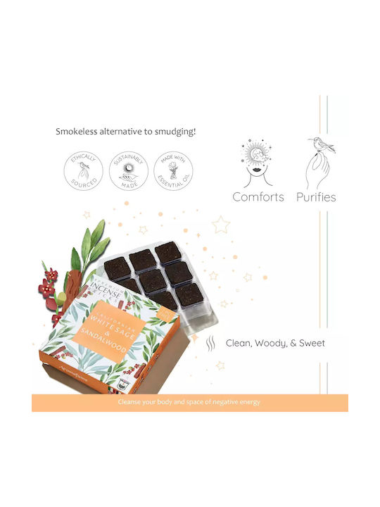 Gift Set Smudge White Sage Καυστήρας Θυμιαμάτων Tree Life + 12 Κύβοι Θυμιάματος