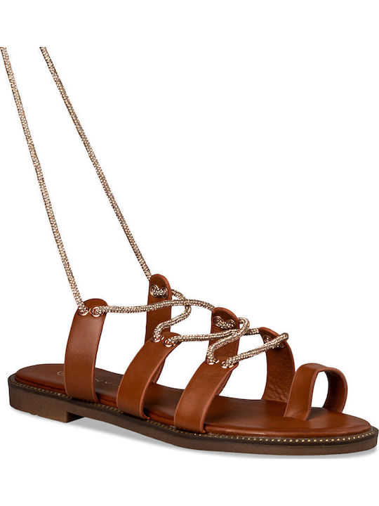 Women's Flat Sandals in Brown Color
