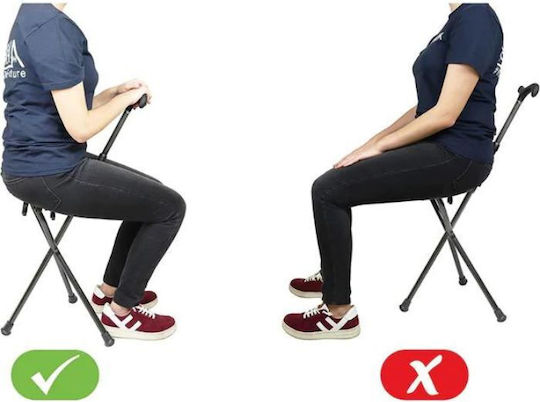 Folding Cane Chair 2 in 1 Carbon Fiber