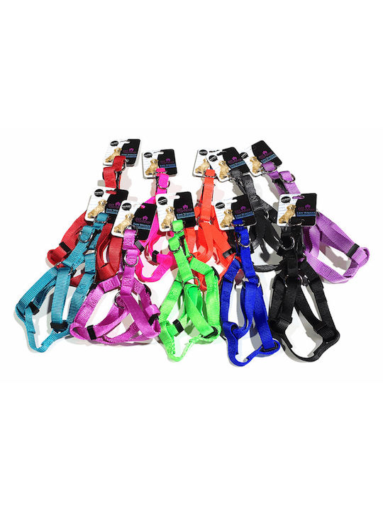 Pet Camelot Μπλε Large 70-90cm