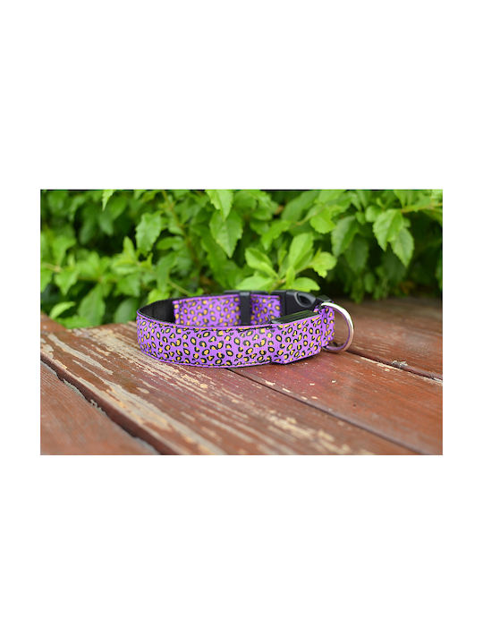 Hundehalsband in Lila Farbe Klein Hundehalsband in Lila Farbe Klein