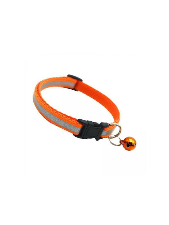 Dog Collar in Orange color