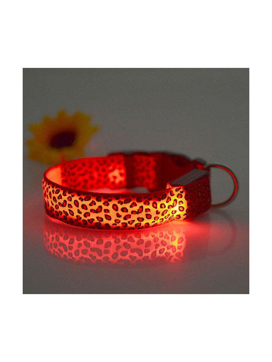 Dog Collar in Orange color Large 58cm
