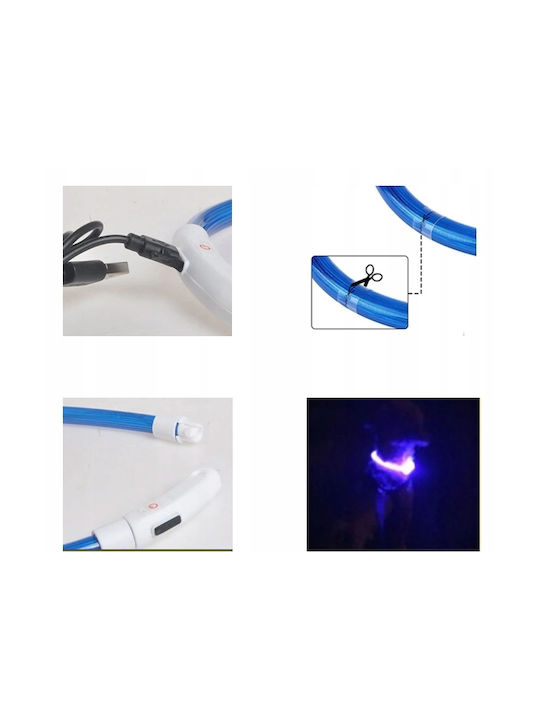 Hundehalsband aus in Blau Farbe 55cm