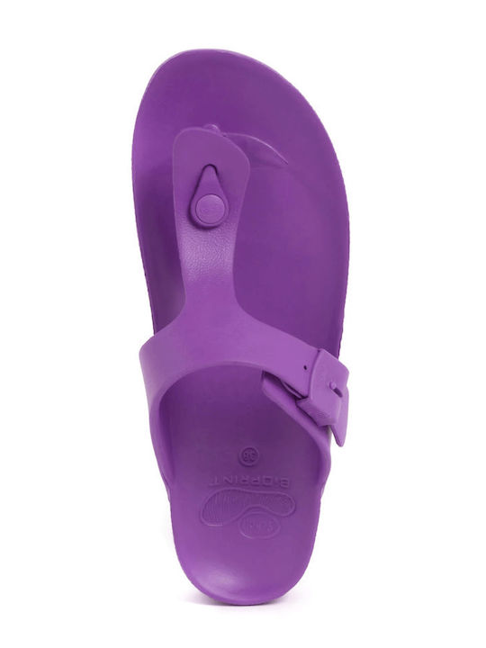 Scholl Scholl