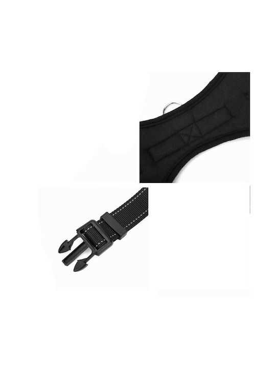Albastru X-Large