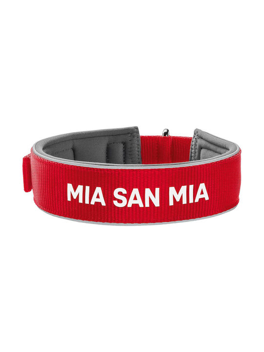Hunter Reflect Dog Collar in Red color Large