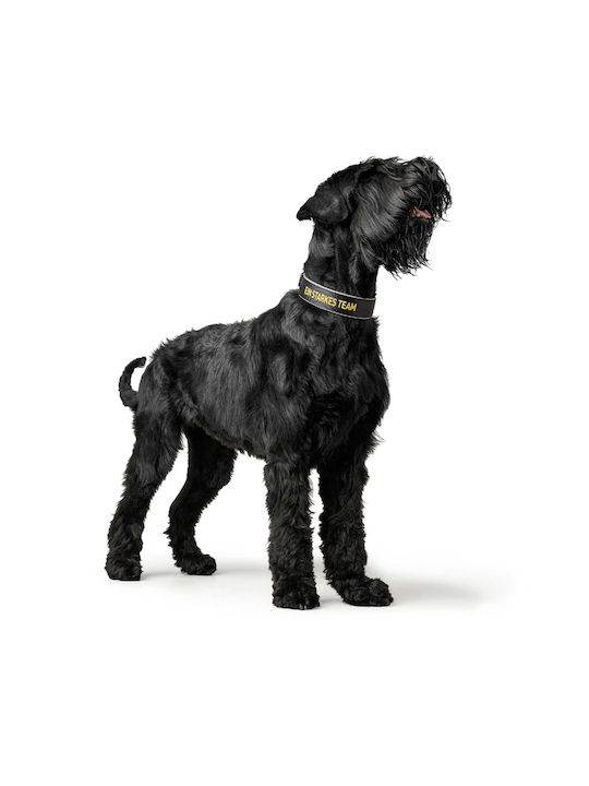 Hunter Reflect Hundehalsband in Schwarz Farbe