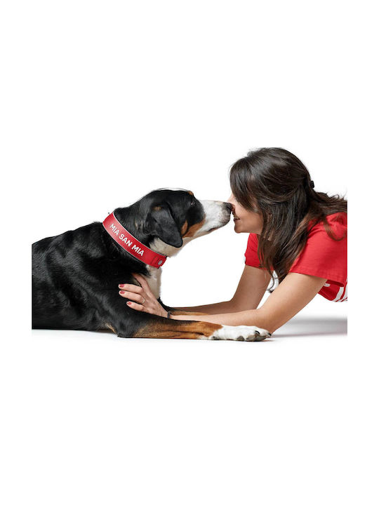 Hunter Reflect Dog Collar in Red color Large