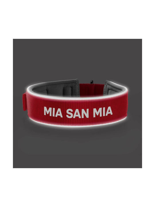Hunter Reflect Dog Collar in Red color Large
