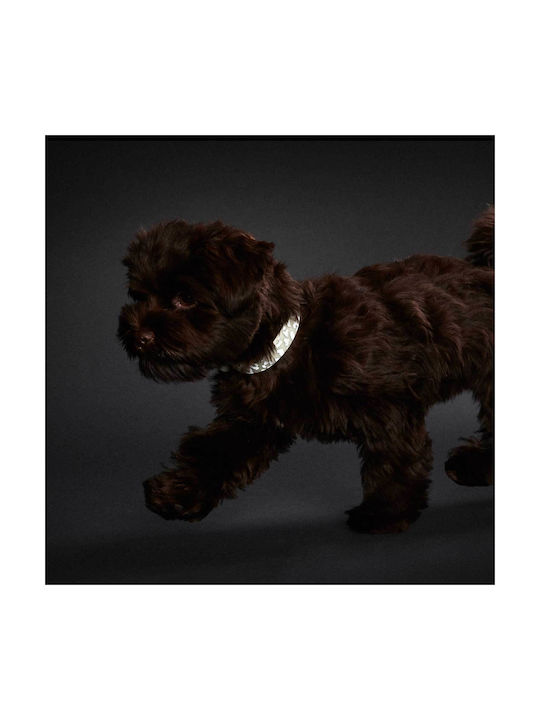 Hunter Hunter Hundehalsband Leopard Medium / Small