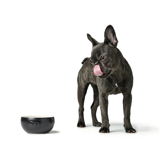 Hunter Ceramic Bowl Food & Water for Dog & Cat 310ml in Black Color