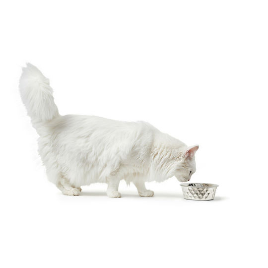 Hunter Schalen aus Silikon Futter & Wasser für Hund & Katze 1.05lt