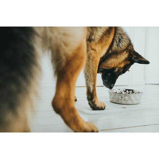 Hunter Schalen aus Silikon Futter & Wasser für Hund & Katze 1.05lt