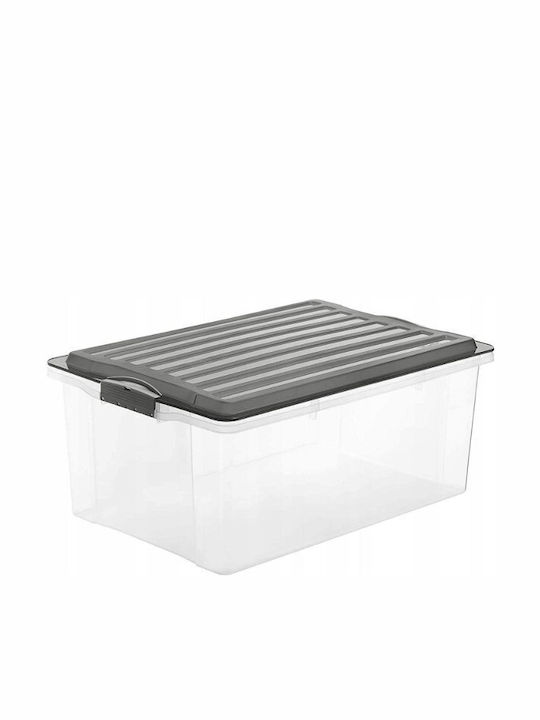Rotho Babydesign Plastic Cutie de Depozitare cu Capac Transparent 57x40x25cm 1buc