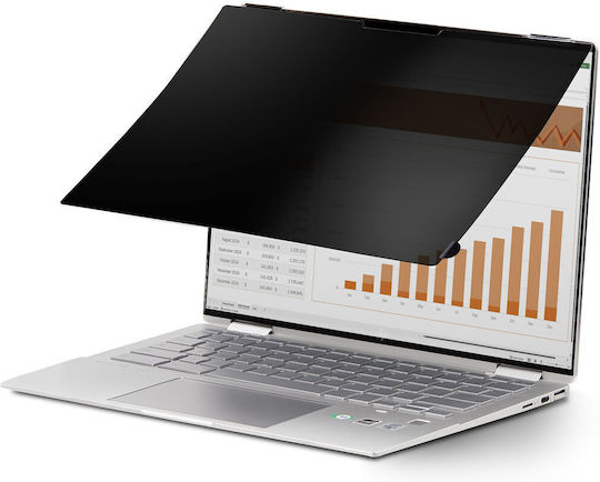StarTech Filtru De Ecran Pentru Laptop 14" S77186944