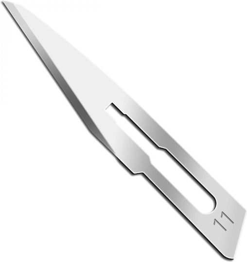 Bournas Medicals Medical Scalpel 122.001 100pcs
