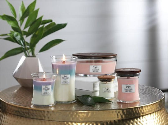 WoodWick Αρωματικό Κερί σε Βάζο με Άρωμα Sun Ripened Berries Μωβ 609gr