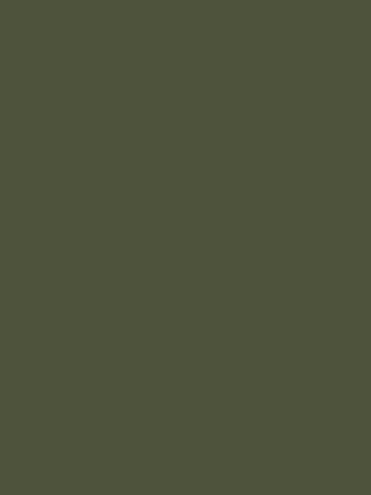 Wohnzimmer TV-Einheit Green olive oil L67xB39xH44cm