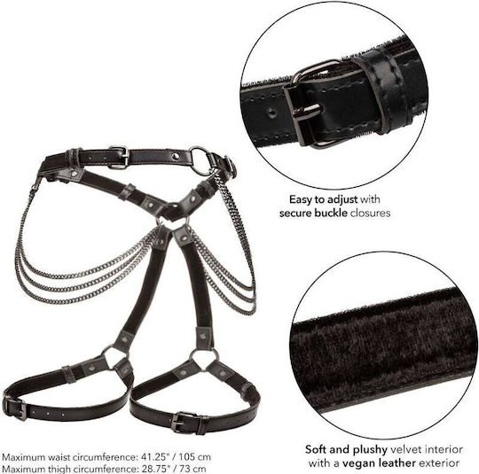 Calexotics Harness Πολύχρωμο