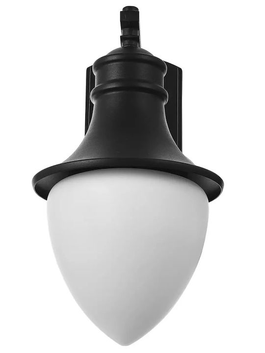 Wall-Mounted Outdoor Black Light