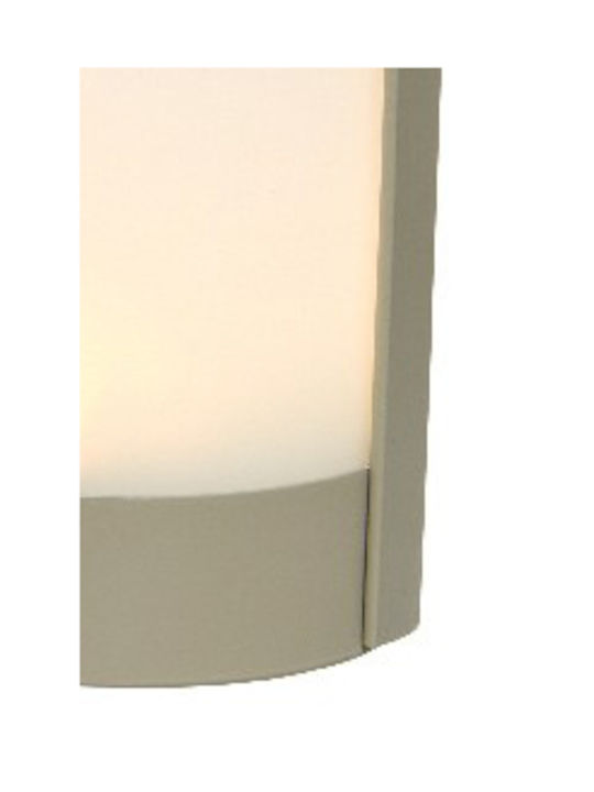 Kaemingk Felinar Plastic Multicolor 13x13x13buc 1buc