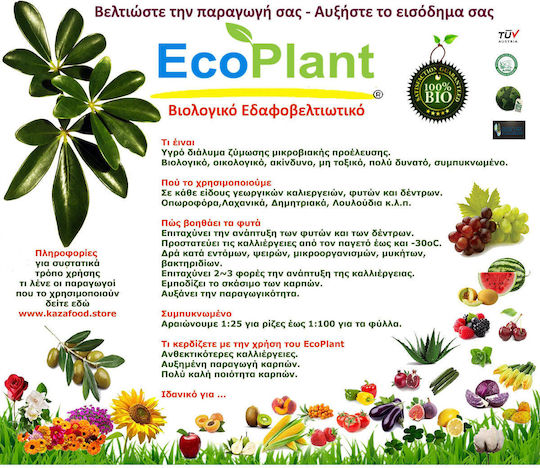 10 Τεμάχια Ecoplant 60 Ml 29 00€