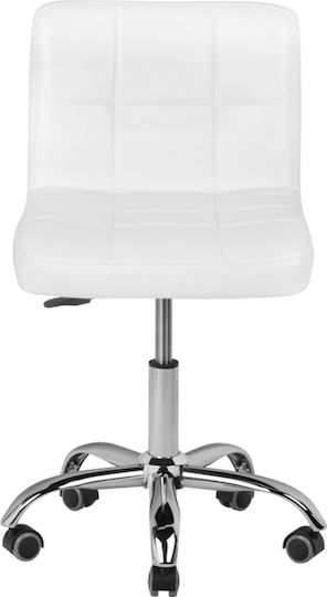 Salon Stools Scaun