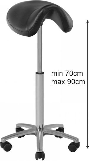 Salon Stools Scaun