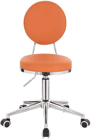 Salon Stools Scaun
