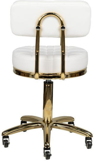 Salon Stools Wheeled Stool with Backrest White 0131988