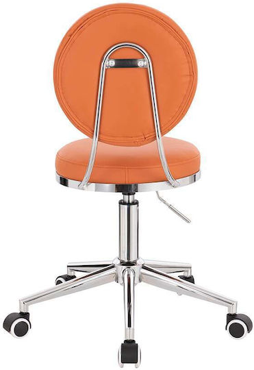 Salon Stools Scaun