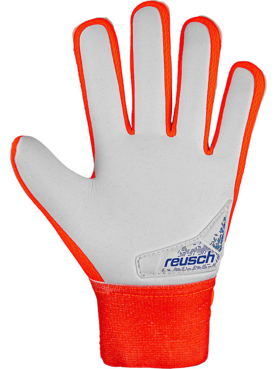 Reusch Reusch Attrakt Starter Grip Adults Goalkeeper Gloves Orange