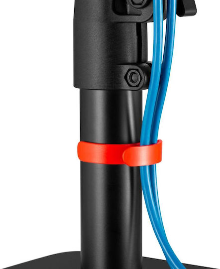 Mozos Speaker Stands in Black / Red Color
