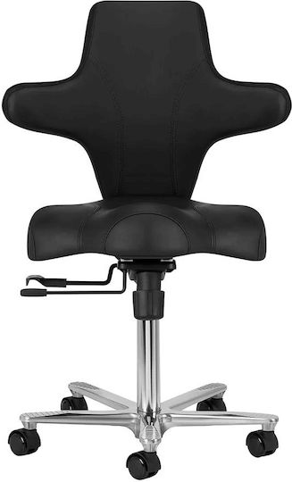 Salon Stools Scaun