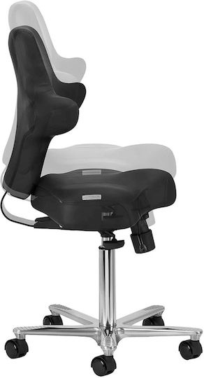 Salon Stools Scaun