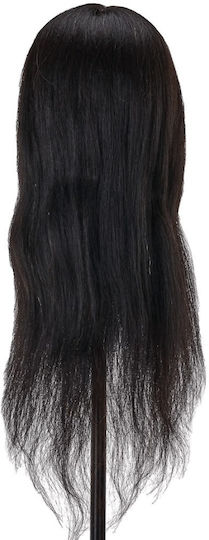 Training Head Natural Hair-0148400