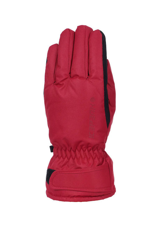 Icepeak Hayden Men's Ski & Snowboard Gloves Red