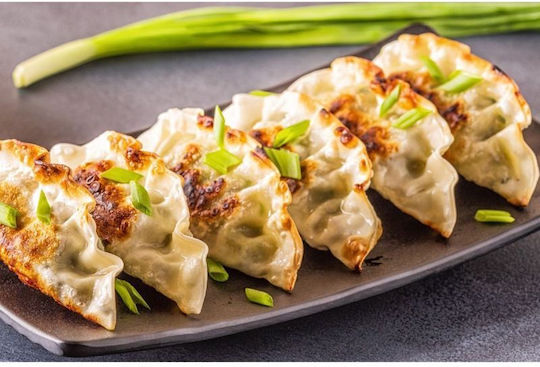 Dumpling Pelmeni Gyoza Mold Form Ec-4493l