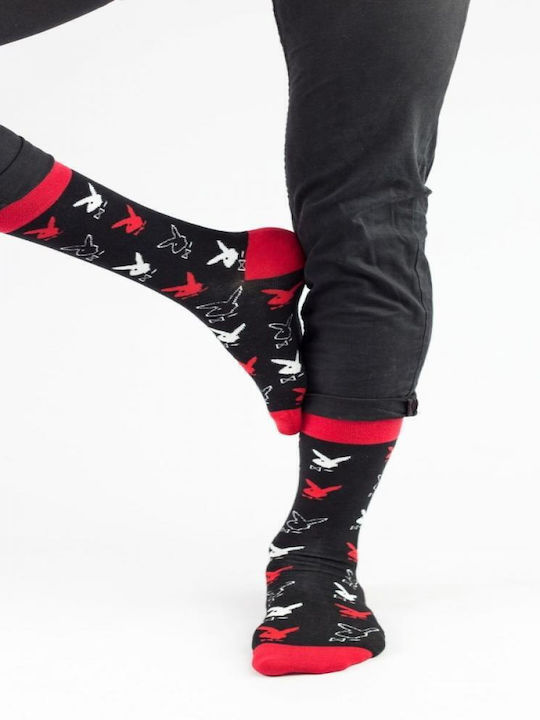 Cotbox Herren Socken BLACK 1Pack