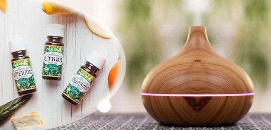 Saloos Ätherisches Öl Minze 10ml