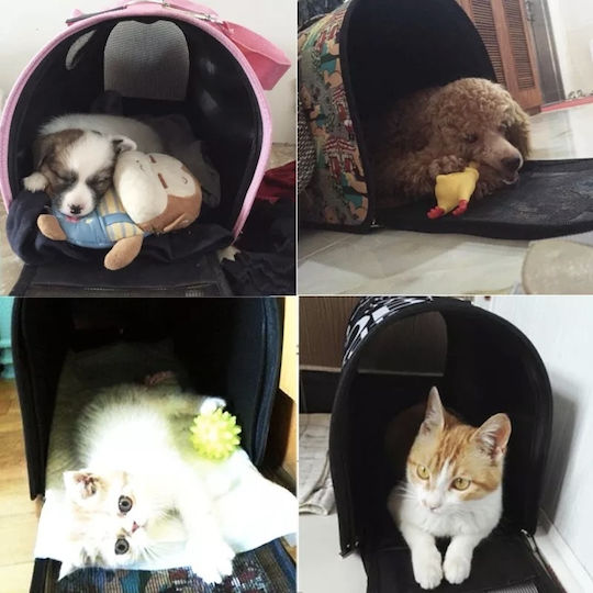 Dog/Cat Carrying Pink Handbag for 7kg Pets L21xW40xH27cm