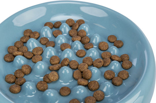 Trixie Keramik Schalen Futter Langsame Fütterung für Hund & Katze 250ml 18cm in Blau Farbe