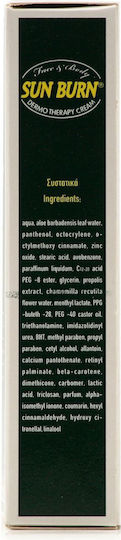 Erythro Forte Sun Burn After Sun Κρέμα με Aloe Vera & Πανθενόλη 100ml