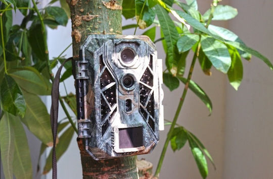 Braun Phototechnik Камера за лов
