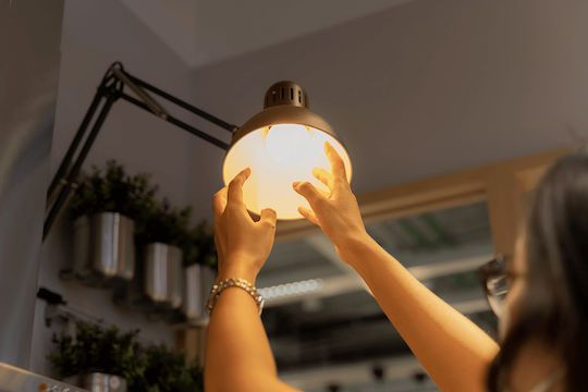 Eco Light Λάμπα LED 15W για Ντουί E27 και Σχήμα A60 Θερμό Λευκό 1350lm
